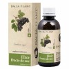 Elixir din fructe de Soc - 200 ml