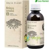 Branca ursului - 200ml - Dacia Plant