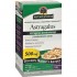 Astragalus - Tratament american pt 90 de zile Astragalus - Tratament american pt 90 de zile