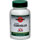 Super Coriolus 130cps Jarrow