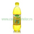 Sirop Natural de Ghimbir