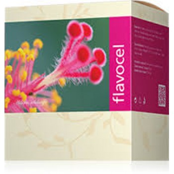 Flavocel - Energy Flavocel - Energy